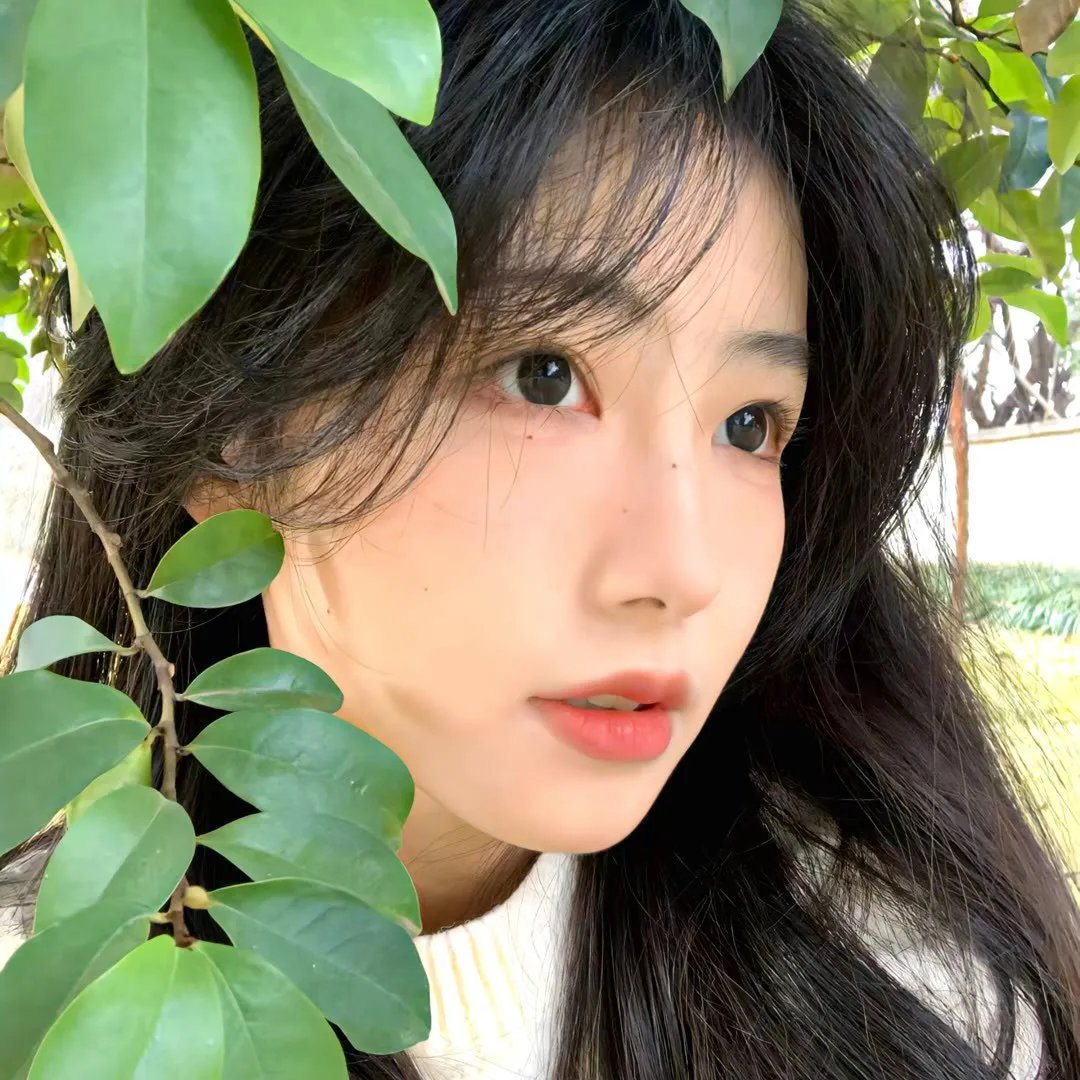 青春逍遥游